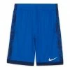 Youth Lifestyle Apparel Nike Trophy Short