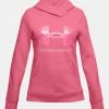Under Armour Rival Logo Hoodie Youth Lifestyle Apparel