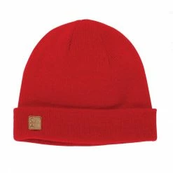 Coal The Harbor Men's Beanie / Toque