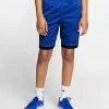 Youth Performance Apparel Nike Training Short Royal 1 Youth Performance Apparel Nike Training Short Royal