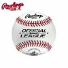 Rawlings 9" 80CC (Dozen)