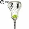 Lacrosse Sticks Warrior Evo Warp Mini 2 Lacrosse Sticks Warrior Evo Warp Mini